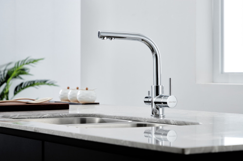 Смеситель для кухни Paulmark ESSEN Es213011-CR на мойку хром - фото 2